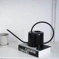 Annaffiatoio nero minimalista nordico in acciaio inox 304 con beccuccio lungo e sottile - 1300ML / Nero