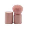 Tragbarer ausziehbarer Make-up Pinsel mit rosa Borsten und passendem rosa Gehäuse - Altrosa