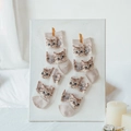 Transparent cat embroidery socks in beige, two pairs displayed on a soft aesthetic board - Khaki
