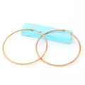 Pair of large rose gold plated stainless steel hoop earrings with high polish finish - 2.0*10mm / Rose Gold