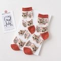 Sheer ankle socks featuring cute orange cat patterns and stylish contrast orange heels - Women's 35-39 / Red