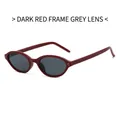Lunettes de soleil ovales bordeaux avec verres gris noir et détails métalliques - Monture Bordeaux Verre Gris Noir