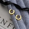 Polished titanium steel rose gold hoop earrings resting on a velvet jewelry display box - Polished (Single Piece) / Gold