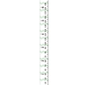 Cartoon height growth chart for kids in white with green wave patterns and metric scales - Mint Green Wave