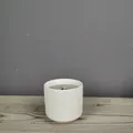Minimalist white ceramic candle jar with vertical stripes and grey soy wax filling - Glazed Interior Matte Exterior / White