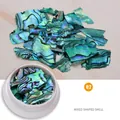 Irisierende Neuseeland Abalone-Muschelfragmente in Dose für Nailart Dekoration - 02# Neuseeland Abalone - Blaugrün Irisierend