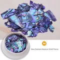 Iridescent New Zealand abalone shell flakes for nail art, mixed shapes, variant 04 - 04# New Zealand Abalone - Red Purple Iridescent
