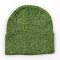 Green knit beanie hat with cuffed hem for autumn and winter warmth on white background - One Size / Green