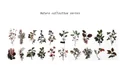 Detail of 18 vintage botanical PET stickers featuring realistic berries and plants - Window Secret-Fruit Language / 40 Pieces