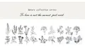Detailed view of assorted black and white botanical PET stickers with floral motifs - Window Secret-Plant Words