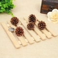 Set of five natural small pine cones for DIY crafts and rustic home holiday decorations - 3-4CM Local Pinecone