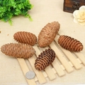 Five natural brown pine cones in various sizes for DIY crafts and festive home decor - 7-9CM White Cloud Pinecone