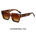 Trendy tortoiseshell square frame sunglasses with tea gradient lenses for fashion - Tortoise Frame Double Tea Lens (C4)