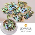 Frammenti di conchiglia di abalone neozelandese con riflessi arcobaleno naturali - 06# Abalone della Nuova Zelanda - Aurora Multicolore