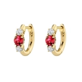 Orecchini a cerchio dorati con rubino rosso e accenti in zirconia su sfondo bianco pulito - Rosso (Oro)