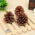 Three natural dried brown pine cones for DIY crafts on light wood slat background - 5-6CM Local Pinecone