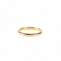 Polished gold titanium steel minimalist band ring with mirror finish for couples - US 6 / 2mm / Gold