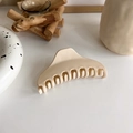 Detalle de la pinza de pelo grande en crema mate con dientes curvos para pelo largo - Abanico / Abanico Beige