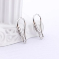 Macro shot of silver earring hooks with cubic zirconia inlay for DIY jewelry design - Micro Inlaid Rhinestone Style (Silver)