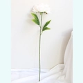 Single stem lifelike white peony silk flower with elegant green leaves for home decor - Cream