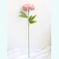 Einzelne künstliche rosa Pfingstrose mit üppigen Blütenblättern und grünen Blättern für Deko - Altrosa