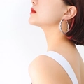 F255 - Steel Color Large Earrings