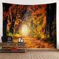 Arazzo da parete con foresta autunnale dorata e arancione per camera letto - 150x130cm / 24-Sentiero forestale tardo autunnale