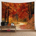 Arazzo naturale con bosco di acero rosso autunnale e sentiero per decorazione - 150x130cm / 30-Sentiero nel bosco di aceri rossi
