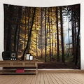 Arazzo forestale con sole autunnale e alberi dorati per decorare pareti dormitori - 150x130cm / 23-Alba della foresta autunnale