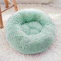 Avocado Green