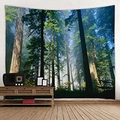 Arazzo forestale con luce solare tra i sequoia per decorazione murale - 150x130cm / 35-Foresta di Sequoie soleggiata