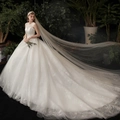 Lujoso vestido de novia de encaje blanco con detalles brillantes y cola larga - US 26W / Con Cola