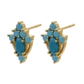 Detailed close-up of bohemian gold earrings featuring turquoise stones and cluster studs - Gold Turquoise Color Flower