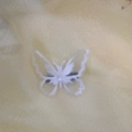 Elegant white embroidered butterfly hair clip with translucent wings and floral accents - Black Clip Single Layer White Butterfly 5*6cm