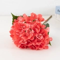 Rose foncé