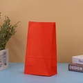 Solid red kraft paper gift bag styled with books and plants for party favors - Red