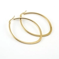 Minimalistische 18K vergoldete Titanstahl-Ohrringe in ovaler Form mit Spiegelglanz-Finish - [Gold] 41*56mm
