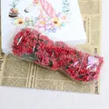 Grappes de baies artificielles rouges pour décoration florale DIY de mariage et artisanat - 144 Pièces/Sac / Rouge