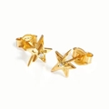Pair of S925 silver star stud earrings with central zircon inlay and gold-plated finish - Micro-pave Five-Pointed Star Style