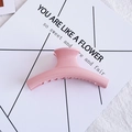 Minimalist large pink matte hair claw clip for women on a decorative white card background - 20# Bar Pink