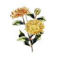 Spilla floreale dorata con petali in smalto e foglie verdi su sfondo bianco puro - Giallo