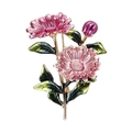 Spilla a fiore in smalto rosa con foglie verdi su stelo in metallo lucidato - Rosa