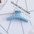 Light blue matte hair claw clip for women on minimalist white card presentation - 15# Bar Sky Blue