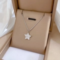 Macro view of crystal star pendant on silver chain inside a luxury champagne jewelry box - Silver