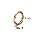 Golden titanium steel 20mm round hoop earring with 2.5mm thickness for men and women - 2.5*20mm Gold (Single)