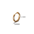 Polished 14mm golden titanium steel hoop earring with a thickness of 2.5mm - 2.5*14mm Rose Gold (Single)