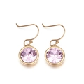 Elegante Ohrringe aus goldenem Edelstahl mit runden rosa Zirkoniasteinen - Rosa (KE85792-K)