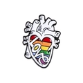 Detail van anatomische hart emaille speld met regenboogkleuren en de tekst LOVE - Hart (LOVE)