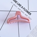 Minimalist pink large plastic hair claw clip for women stylish candy color hair accessory - 27# U-shape Pink