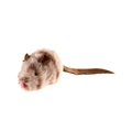 Brown and beige plush mouse cat toy with long tail and felt ears for interactive playing - Melody Chaser Prey Mouse